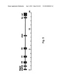 MEANS AND METHODS FOR INVESTIGATING NUCLEIC ACID SEQUENCES diagram and image