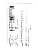 MEANS AND METHODS FOR INVESTIGATING NUCLEIC ACID SEQUENCES diagram and image