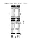 MEANS AND METHODS FOR INVESTIGATING NUCLEIC ACID SEQUENCES diagram and image