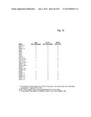 MEANS AND METHODS FOR INVESTIGATING NUCLEIC ACID SEQUENCES diagram and image