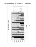 Compositions, Methods and Kits for Nucleic Acid Synthesis and     Amplification diagram and image