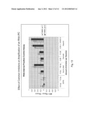 Compositions, Methods and Kits for Nucleic Acid Synthesis and     Amplification diagram and image