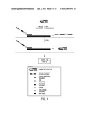 TAGGED OLIGONUCLEOTIDES AND THEIR USE IN NUCLEIC ACID AMPLIFICATION     METHODS diagram and image