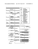 TAGGED OLIGONUCLEOTIDES AND THEIR USE IN NUCLEIC ACID AMPLIFICATION     METHODS diagram and image