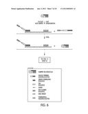 TAGGED OLIGONUCLEOTIDES AND THEIR USE IN NUCLEIC ACID AMPLIFICATION     METHODS diagram and image