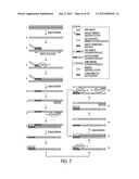 TAGGED OLIGONUCLEOTIDES AND THEIR USE IN NUCLEIC ACID AMPLIFICATION     METHODS diagram and image