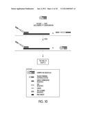 TAGGED OLIGONUCLEOTIDES AND THEIR USE IN NUCLEIC ACID AMPLIFICATION     METHODS diagram and image