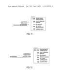 TAGGED OLIGONUCLEOTIDES AND THEIR USE IN NUCLEIC ACID AMPLIFICATION     METHODS diagram and image