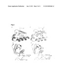 HIGH RESOLUTION COMPLEX STRUCTURE AND ALLOSTERIC EFFECTS OF LOW MOLECULAR     WEIGHT ACTIVATORS ON THE PROTEIN KINASE PDK1 diagram and image