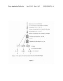 METHOD FOR PRODUCING LIPASE, TRANSFORMED YARROWIA LIPOLYTICA CELL CAPABLE     OF PRODUCING SAID LIPASE AND THEIR USES diagram and image