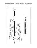 RECOMBINANT VIRUS, ESCHERICHIA COLI RETAINING THE SAME AND A PROCESS FOR     PRODUCTION THEREOF diagram and image