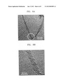 Field emission electrode, method of manufacturing the same, and field     emission device comprising the same diagram and image