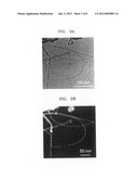 Field emission electrode, method of manufacturing the same, and field     emission device comprising the same diagram and image