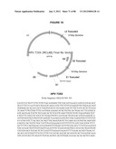 FAST RESULTS HYBRID CAPTURE ASSAY AND ASSOCIATED STRATEGICALLY TRUNCATED     PROBES diagram and image