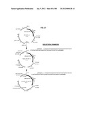 FAST RESULTS HYBRID CAPTURE ASSAY AND ASSOCIATED STRATEGICALLY TRUNCATED     PROBES diagram and image