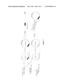 METHOD FOR CONSTRUCTING MUTAGENESIS LIBRARIES IN SITU diagram and image