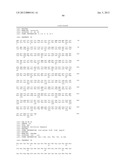 HOMOGENOUS PREPARATIONS OF IL-28 AND IL-29 diagram and image