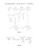 HETEROBIFUNCTIONAL PAN-SELECTIN INHIBITORS diagram and image