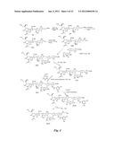 HETEROBIFUNCTIONAL PAN-SELECTIN INHIBITORS diagram and image