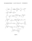 HETEROBIFUNCTIONAL PAN-SELECTIN INHIBITORS diagram and image