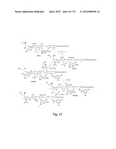 HETEROBIFUNCTIONAL PAN-SELECTIN INHIBITORS diagram and image