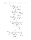 HETEROBIFUNCTIONAL PAN-SELECTIN INHIBITORS diagram and image