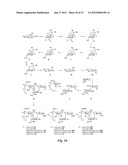 HETEROBIFUNCTIONAL PAN-SELECTIN INHIBITORS diagram and image