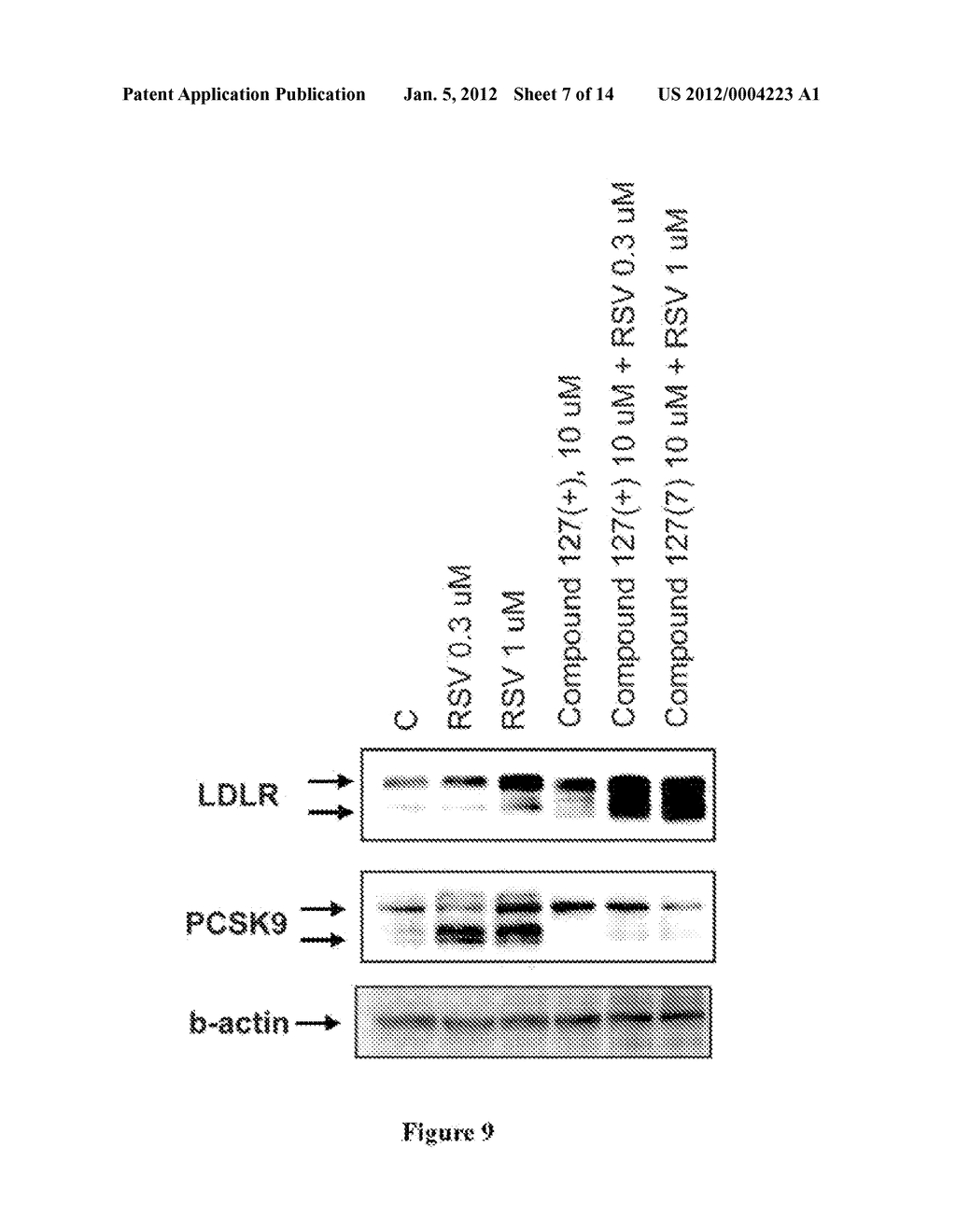 COMPOUNDS, COMPOSITIONS AND METHODS FOR REDUCING LIPID LEVELS - diagram, schematic, and image 08