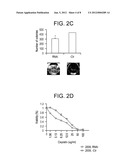 ANNEXIN A11 AND ASSOCIATED GENES AS BIOMARKERS FOR CANCER diagram and image