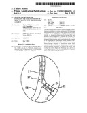 SYSTEMS AND METHODS FOR ESTIMATING THE SIZE AND POSITION OF A MEDICAL     DEVICE TO BE APPLIED WITHIN A PATIENT diagram and image