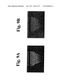 DYNAMIC MOTION CONTRAST AND TRANSVERSE FLOW ESTIMATION USING OPTICAL     COHERENCE TOMOGRAPHY diagram and image