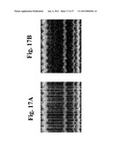 DYNAMIC MOTION CONTRAST AND TRANSVERSE FLOW ESTIMATION USING OPTICAL     COHERENCE TOMOGRAPHY diagram and image