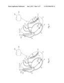 IDENTIFICATION OF PACING SITE diagram and image