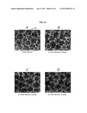 DEGRADATION RESISTANT IMPLANTABLE MATERIALS AND METHODS diagram and image