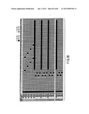 INFORMATION STORAGE MEDIUM, REPRODUCING METHOD, AND RECORDING METHOD diagram and image