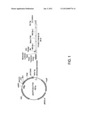 NONVIRAL VECTORS FOR DELIVERING POLYNUCLEOTIDES TO PLANTS diagram and image