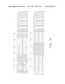 BRITTLE STALK 2 GENE FAMILY AND RELATED METHODS AND USES diagram and image