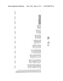 BRITTLE STALK 2 GENE FAMILY AND RELATED METHODS AND USES diagram and image