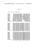 GENE FOR INCREASING THE PRODUCTION OF PLANT BIOMASS AND/OR SEEDS AND     METHOD FOR USE THEREOF diagram and image