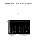 GENE FOR INCREASING THE PRODUCTION OF PLANT BIOMASS AND/OR SEEDS AND     METHOD FOR USE THEREOF diagram and image