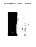 ELECTRICAL CONTACTS FOR SKUTTERUDITE THERMOELECTRIC MATERIALS diagram and image