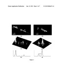 ENERGY TRANSFER THROUGH SURFACE PLASMON RESONANCE EXCITATION ON     MULTISEGMENTED NANOWIRES diagram and image