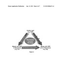 ENERGY TRANSFER THROUGH SURFACE PLASMON RESONANCE EXCITATION ON     MULTISEGMENTED NANOWIRES diagram and image