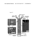 METHOD FOR CONTINUOUS PARTICLE SEPARATION USING OBSTACLE ARRAYS     ASYMMETRICALLY ALIGNED TO FIELDS diagram and image