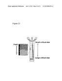 METHOD FOR CONTINUOUS PARTICLE SEPARATION USING OBSTACLE ARRAYS     ASYMMETRICALLY ALIGNED TO FIELDS diagram and image