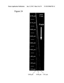 METHOD FOR CONTINUOUS PARTICLE SEPARATION USING OBSTACLE ARRAYS     ASYMMETRICALLY ALIGNED TO FIELDS diagram and image