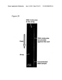 METHOD FOR CONTINUOUS PARTICLE SEPARATION USING OBSTACLE ARRAYS     ASYMMETRICALLY ALIGNED TO FIELDS diagram and image