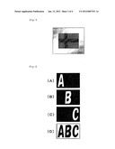 COUNTERFEITING PREVENTION DEVICE HAVING PRINTING AND BIREFRINGENCE PATTERN diagram and image