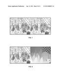 SYSTEM AND METHOD FOR TRANSMISSION, PROCESSING, AND RENDERING OF     STEREOSCOPIC AND MULTI-VIEW IMAGES diagram and image