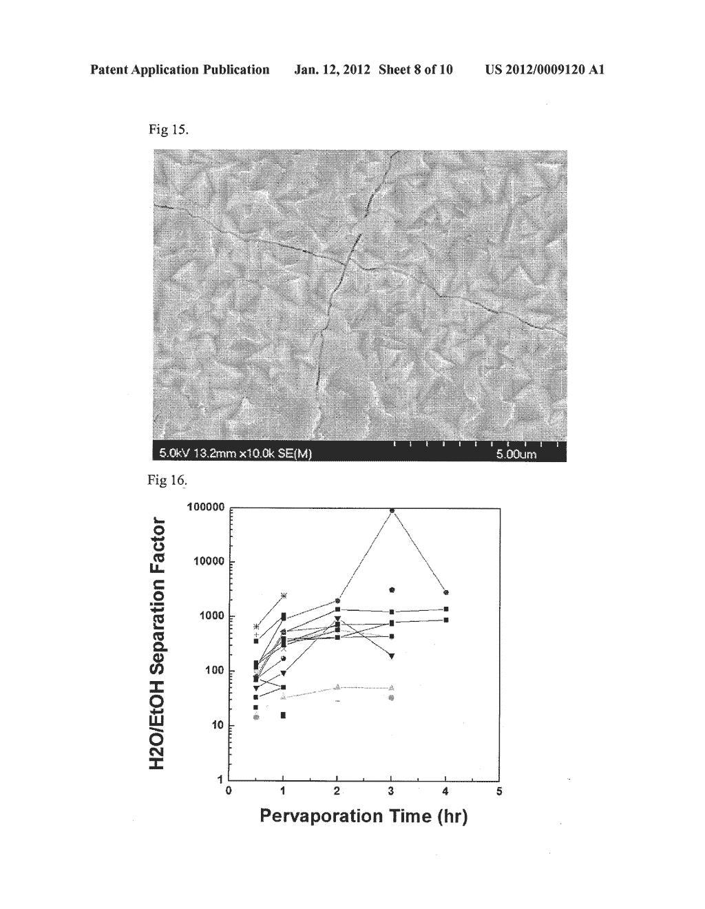 THERMAL CRACKING RESISTANT ZEOLITE MEMBRANE AND METHOD OF FABRICATING THE     SAME - diagram, schematic, and image 09